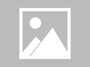 财经新闻云商贸，从数据驱动到决策支持